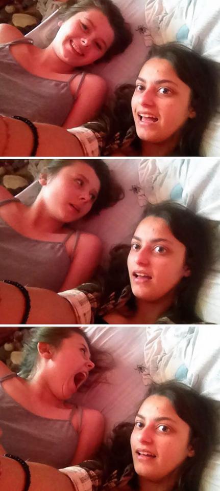  This girl's shock was captured on camera as she spots a spider on the bed