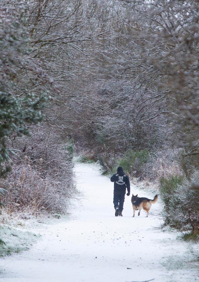  A man walks his dog on a snow covered path in Kelty, Fife as much of the UK wakes to a blanket of snow