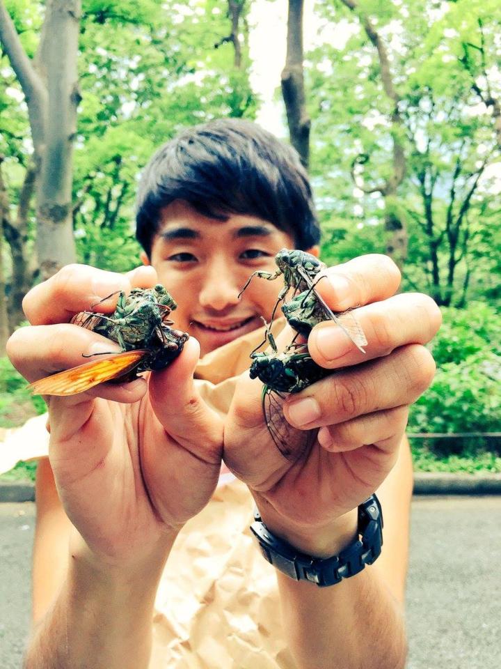  Yuta Shinohara, pictured here holding grasshoppers, claims to have 'dated' his pet cockroach Lisa