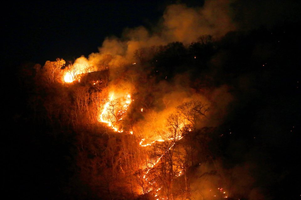  Data from the National Institute for Space Research shows that the number of forest fires in Brazil soared by 82 percent from January to August this year compared to the same period last year