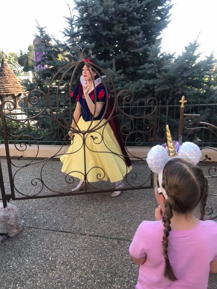 Princesses as well as other characters use the spot to access the park