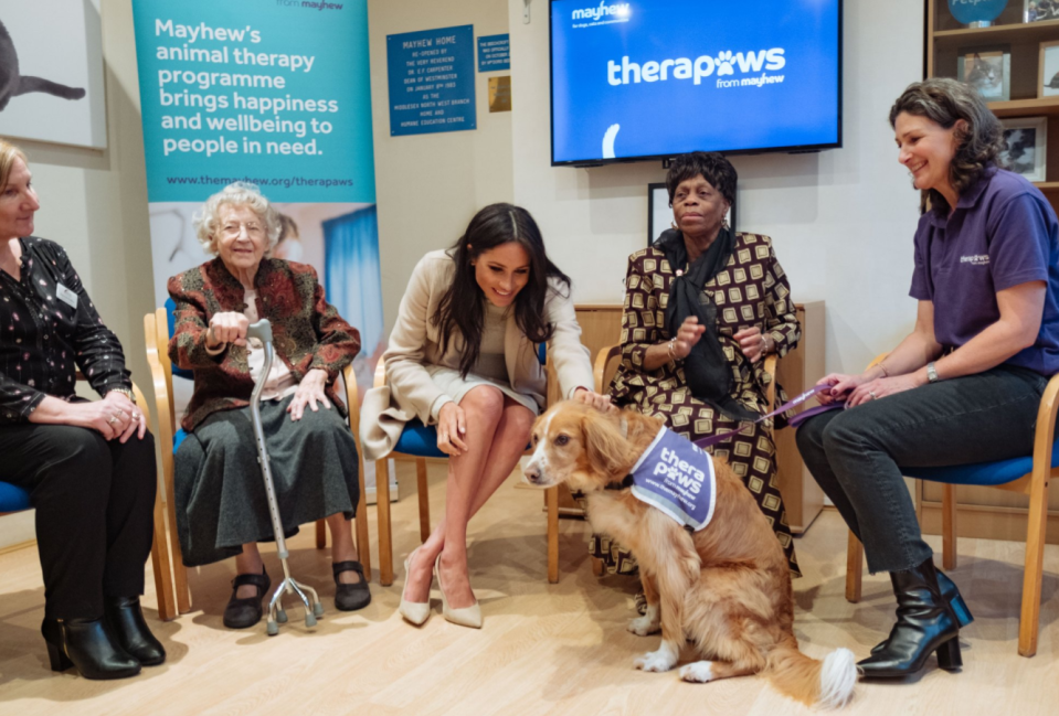  The Duchess of Sussex gives one of the dogs a good pat