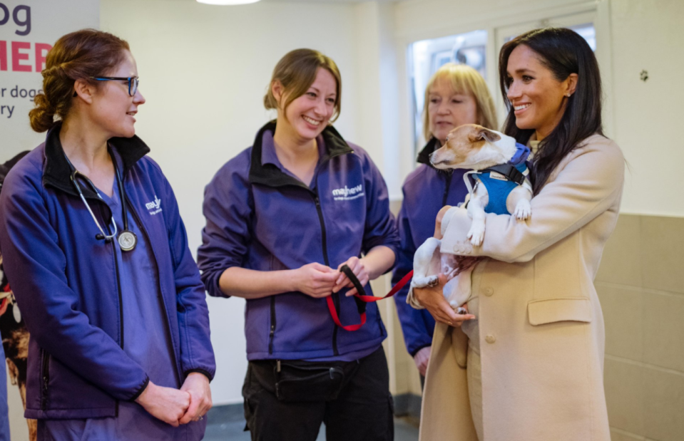  Meghan Markle, known as a dog lover, made the most of the charity visit by cuddling one of the pooches