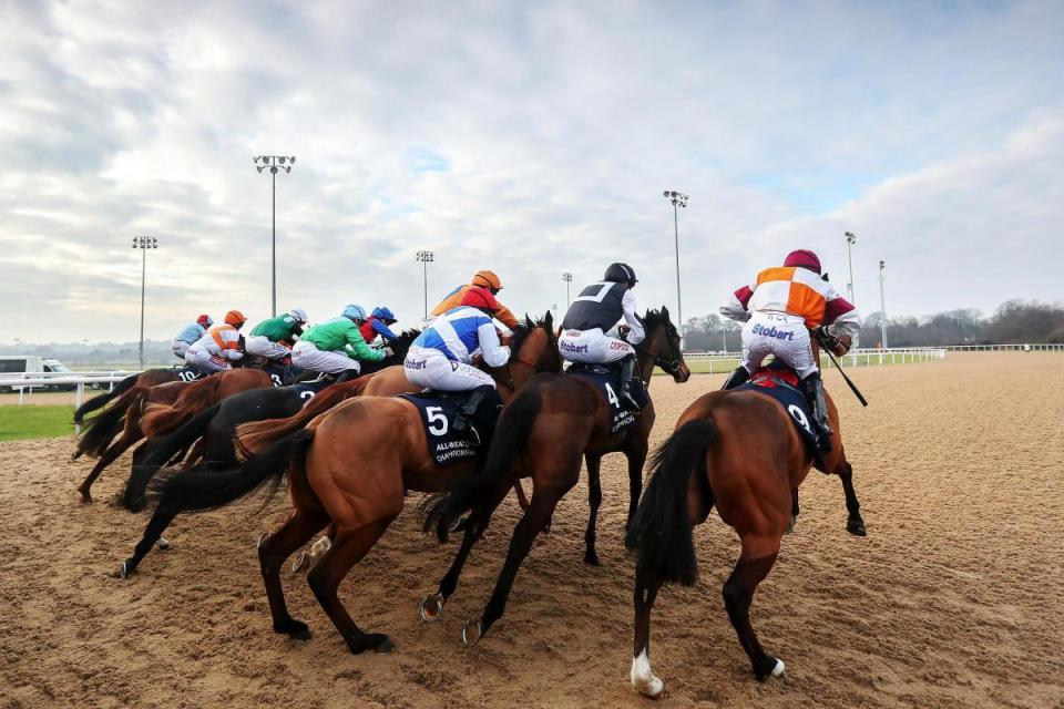  Leicester, Lingfield, Plumpton and Wolverhampton come under the spotlight as Templegate gives you his best bets for the day