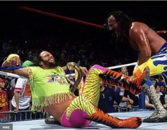 Jake Roberts shocked when he used a snake to bite opponent Randy Savage