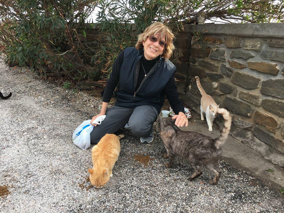  Jeffyne Telson worked with God's Little People Cat Rescue on the island of Syros