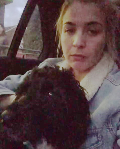  Gemma Atkinson was forced to rush her beloved pet dog Norman to the vets after he was injured