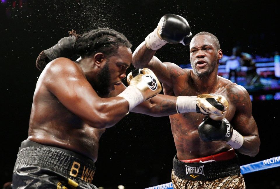  Bermane Stiverne was demolished in his last fight against WBC champ Deontay Wilder