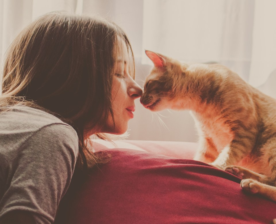  Our Sun reader is in a tricky situation over her beloved cat