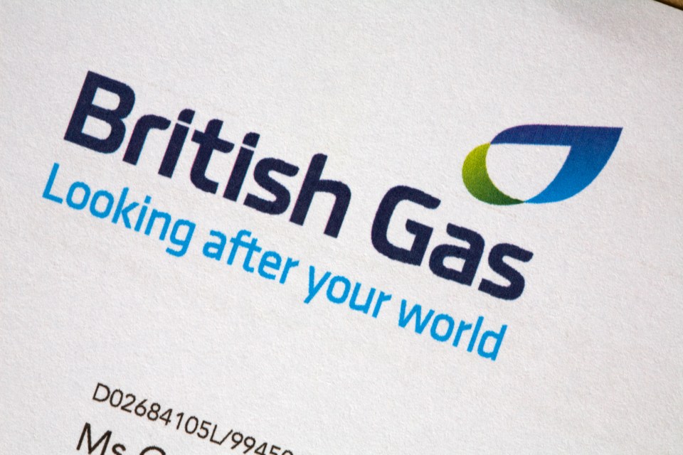  British Gas customers will be hit with price hikes of 10 per cent