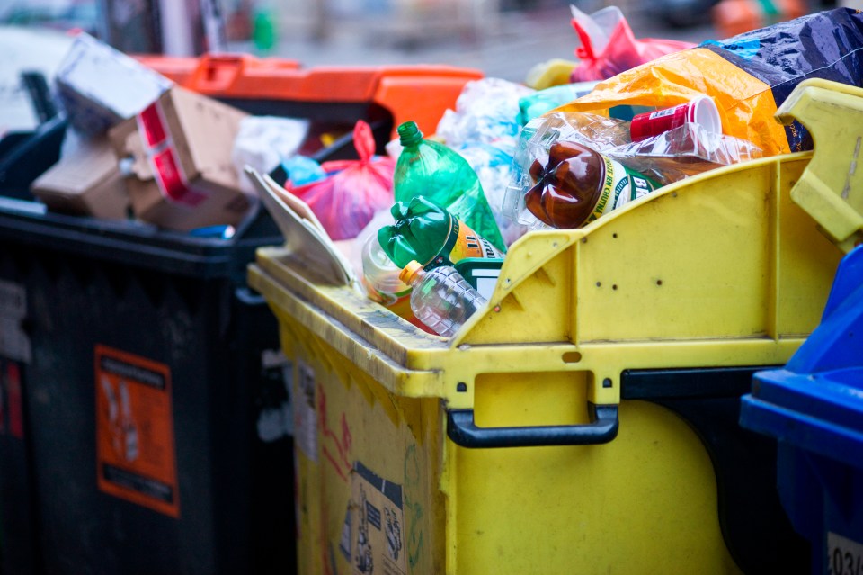  Almost 30 per cent of councils expect to slash some waste collection and recycling