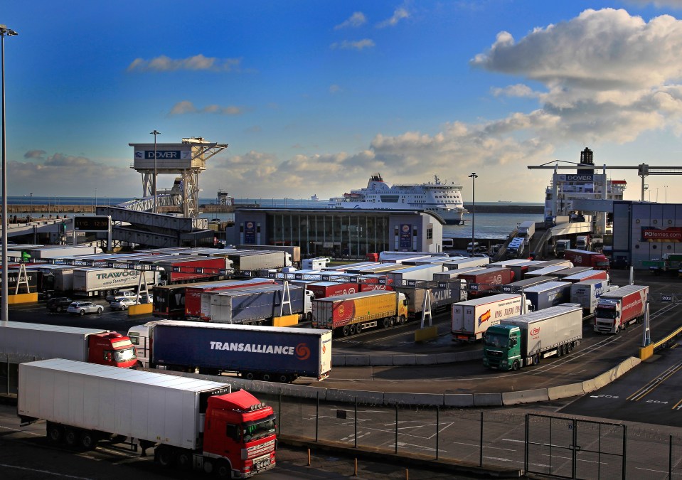  Truckers could be forced to answer 38 questions every time they cross the border in a No Deal Brexit