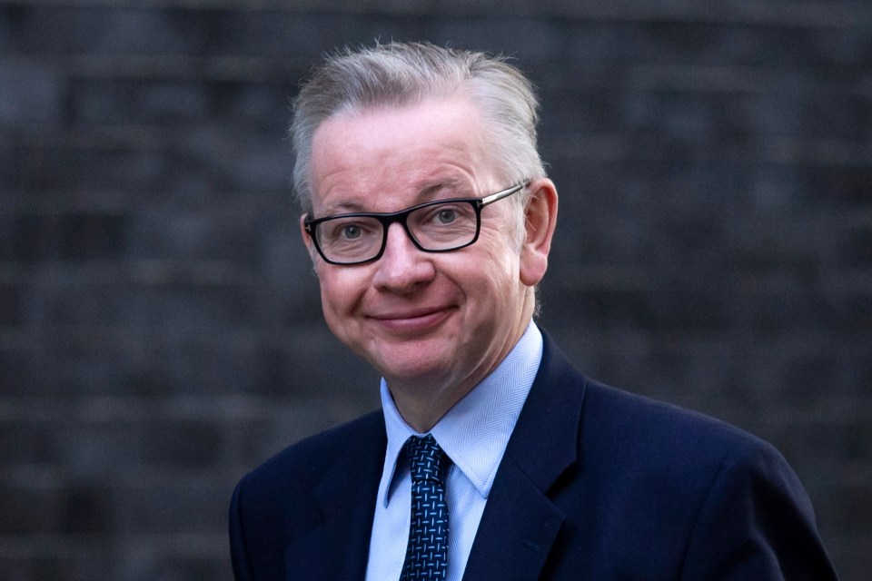  Michael Gove enraged Cabinet colleagues after telling farmers the Government would put high tariffs on agricultural imports to protect the UK industry