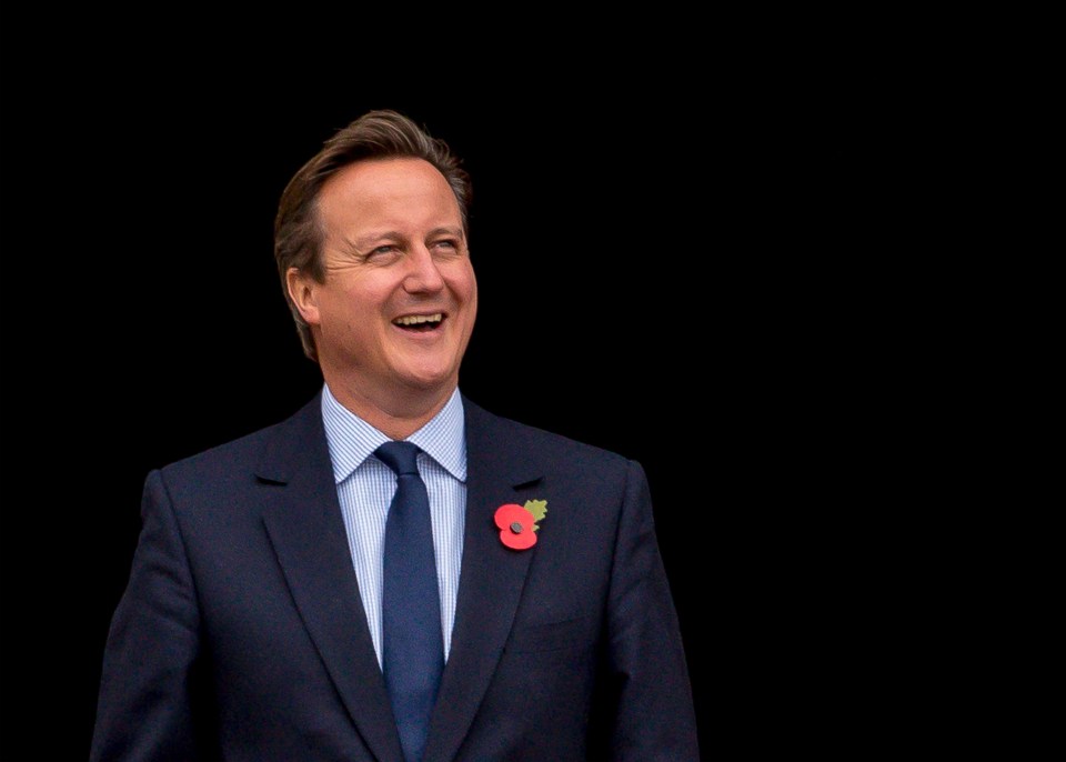  David Cameron's proposed reforms were deeply disappointing with a real lack of ambition