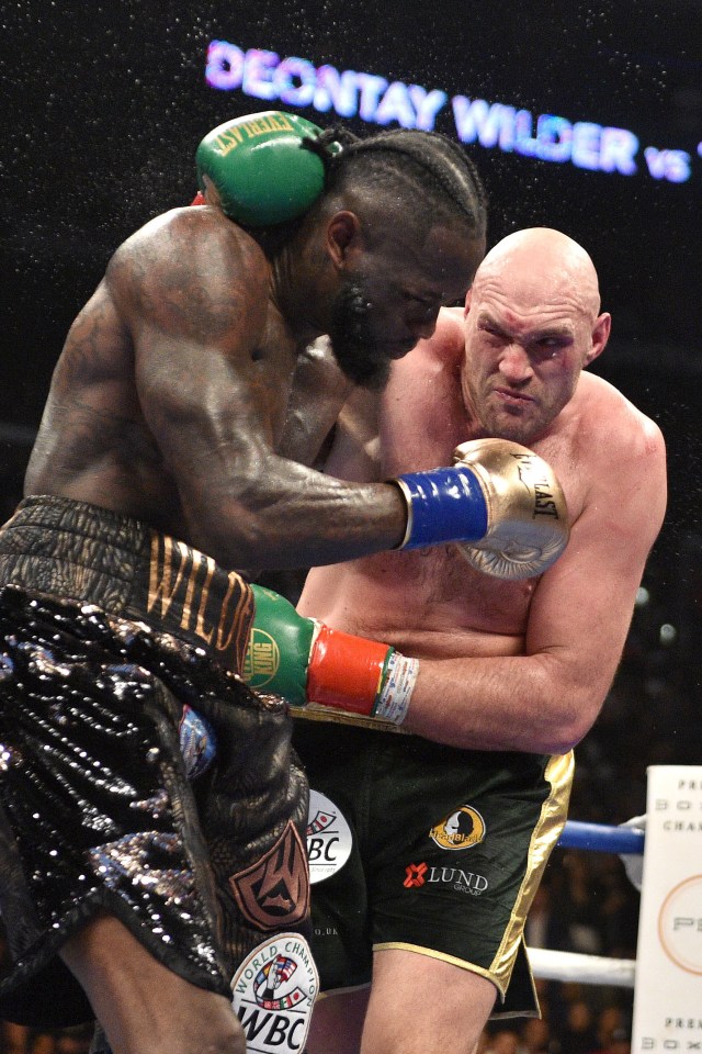  The WBC had ordered a rematch to take place next between the Gypsy King and Bronze Bomber