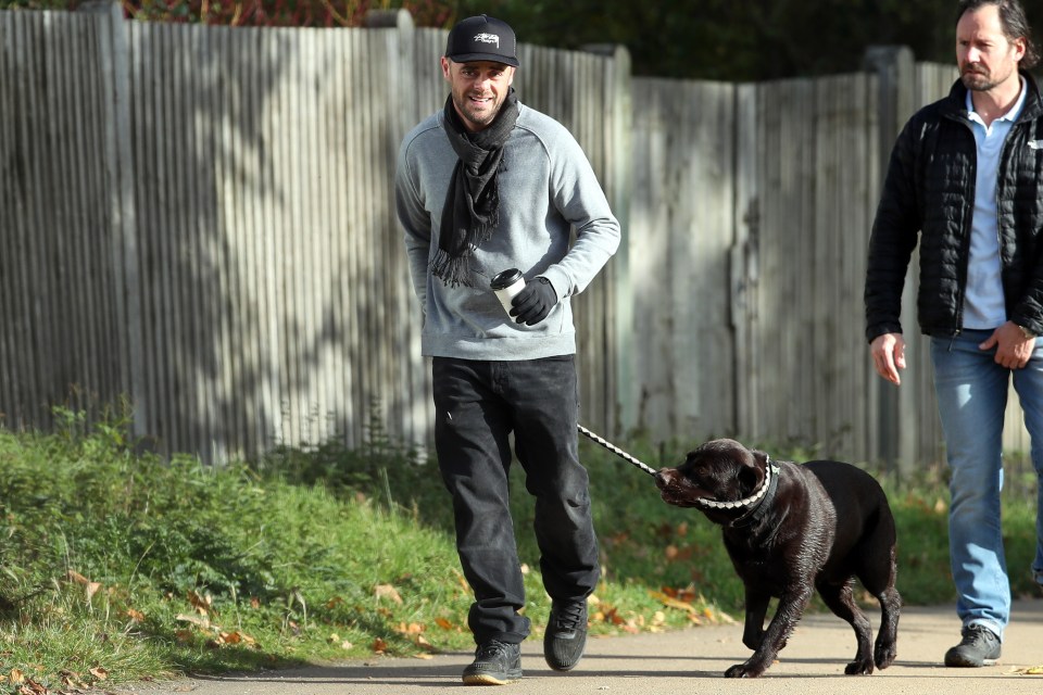 Piers joked about the fact Ant was ‘walking his dog’ most of last year, but still got the nomination