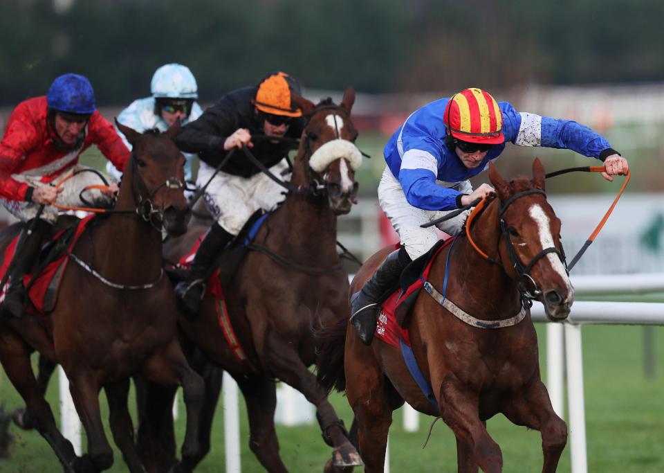  Rocky Blue (right) is out for the season after picking up an injury on the gallops