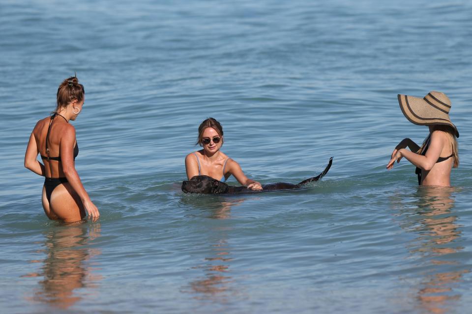  The star was greeted in the sea by a black Labrador who was swimming by