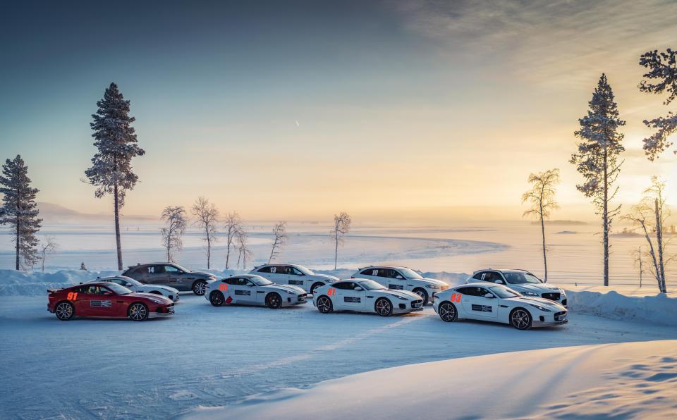 Take your pic from these as your partner on Sweden's Arjeplog 'ice rink'