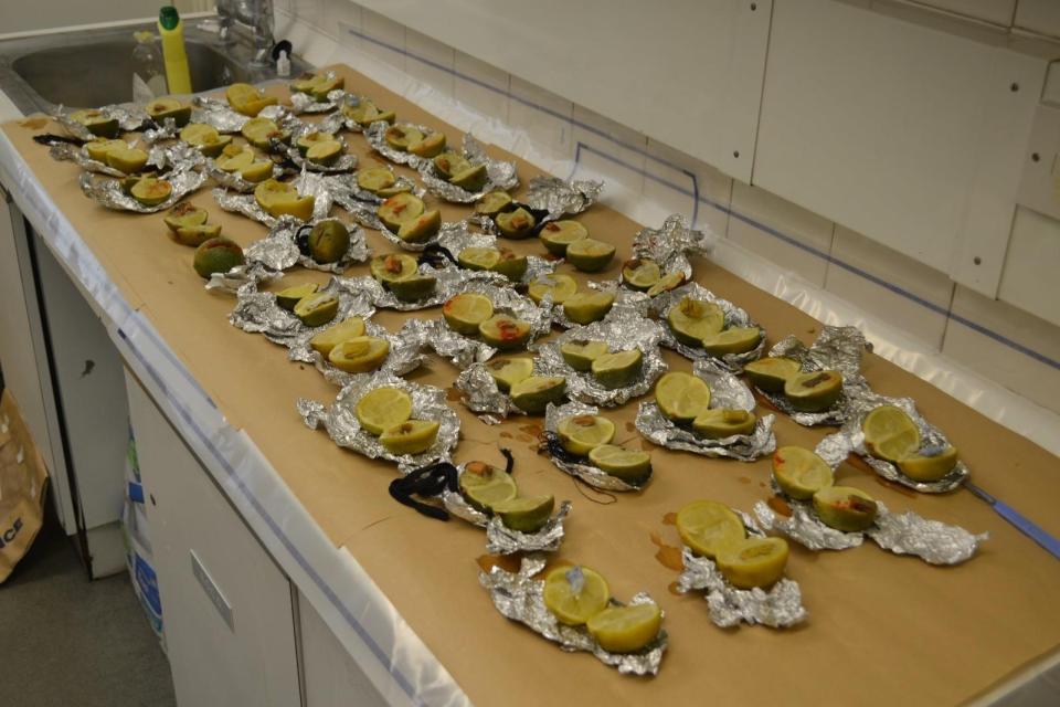  The 40 frozen limes containing curses found by police