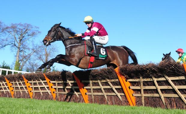 Apple's Jade was cut to 4-6 for the Mares' Hurdle at Cheltenham