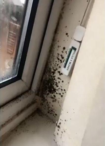  The mum says she 'doesn't know where the mould came from' in the shocking before video