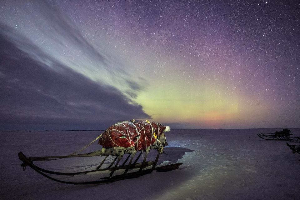 The boundless and snow-covered landscape of the tundra is the natural habitat of the Nenets