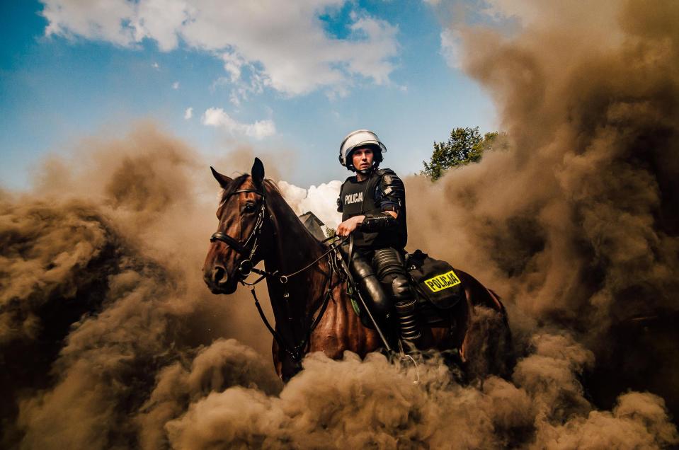 This photo was taken during show given by special horse unit from police forces from Chorzow, Poland