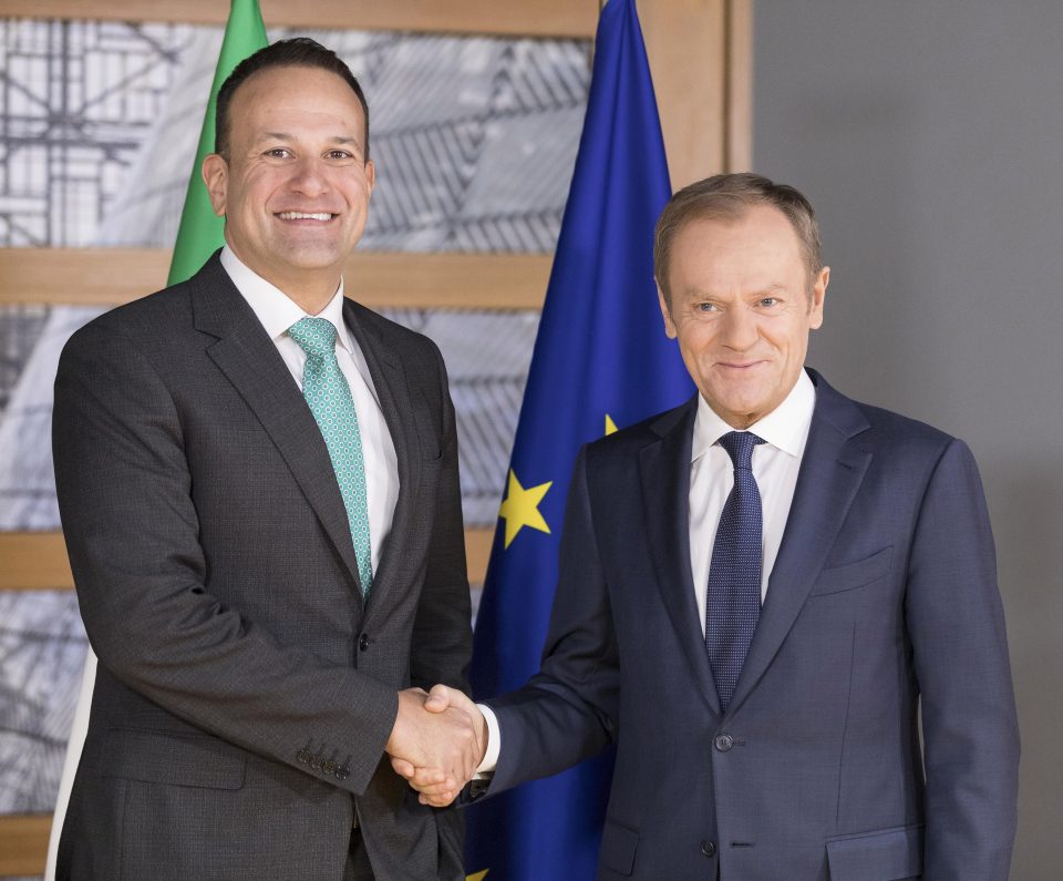  Donald Tusk and the Irish Prime Minister Leo Varadkar today in Brussels