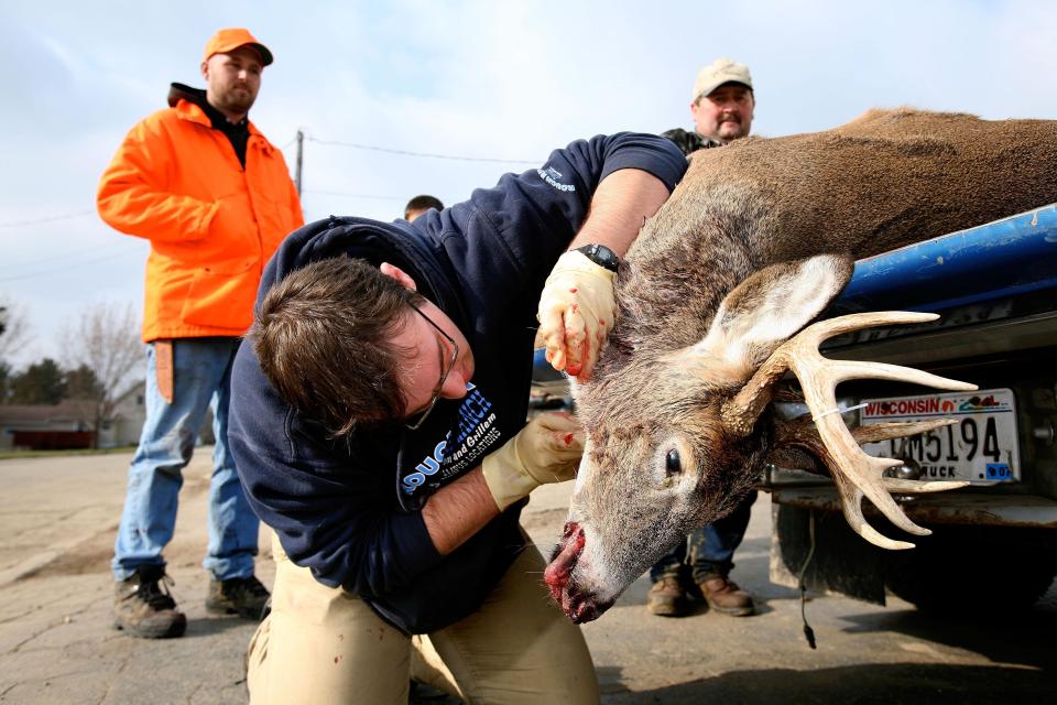  Experts have carried out tests for the disease on dead deer