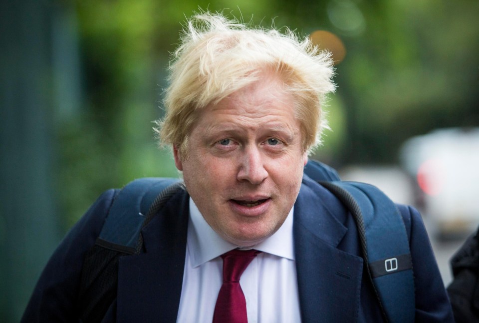 Ex-Foreign Secretary Boris Johnson has been tight lipped on if he wants to run for PM