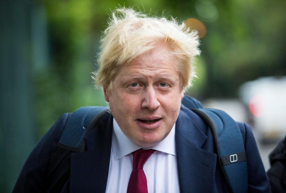  Ex-Foreign Secretary Boris Johnson has been tight lipped on if he wants to run for PM