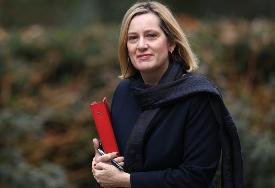  Cabinet colleagues have called for Amber Rudd to be sacked after she threatened to delay Brexit