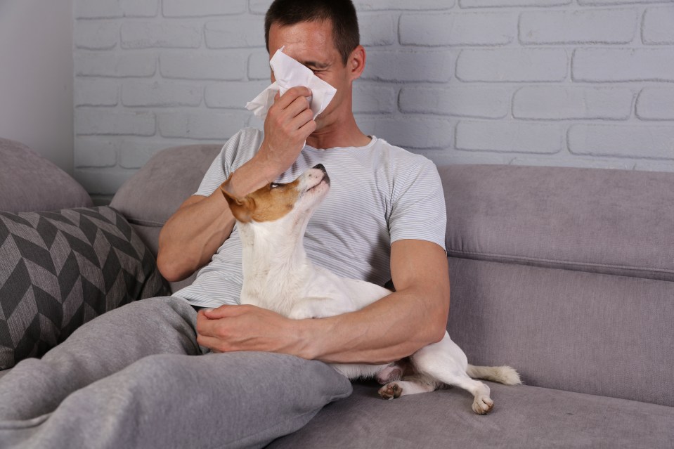  35 per cent of Brits that own pets suffer from allergies