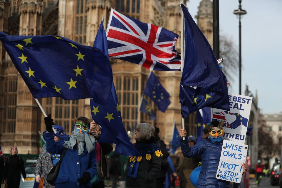  Anti Brexit demonstrators are a near daily sight at Westminster, writes James Forsyth