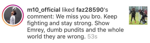  Mesut Ozil 'liked' this comment a fan wrote to him on Instagram