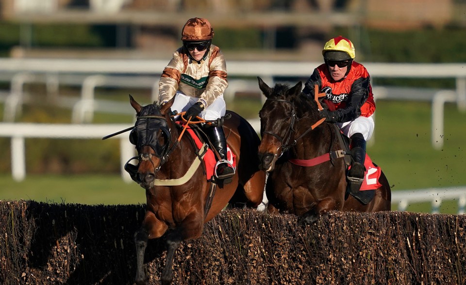 Carlos Du Fruitier was a well-backed winner of the Royal Artillery Gold Cup