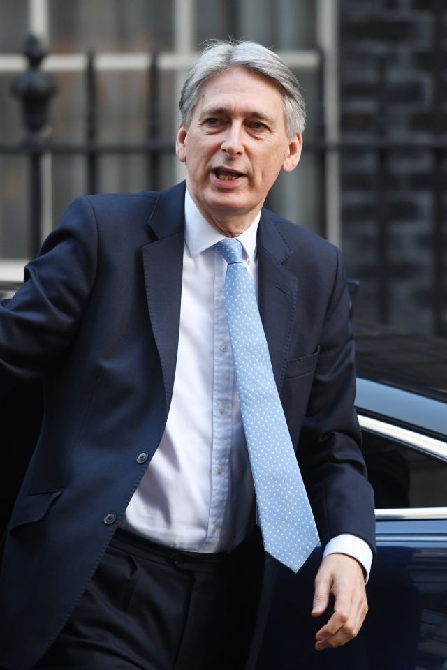  Chancellor Philip Hammond is lobbying for lower duties alongside Trade Secretary Liam Fox