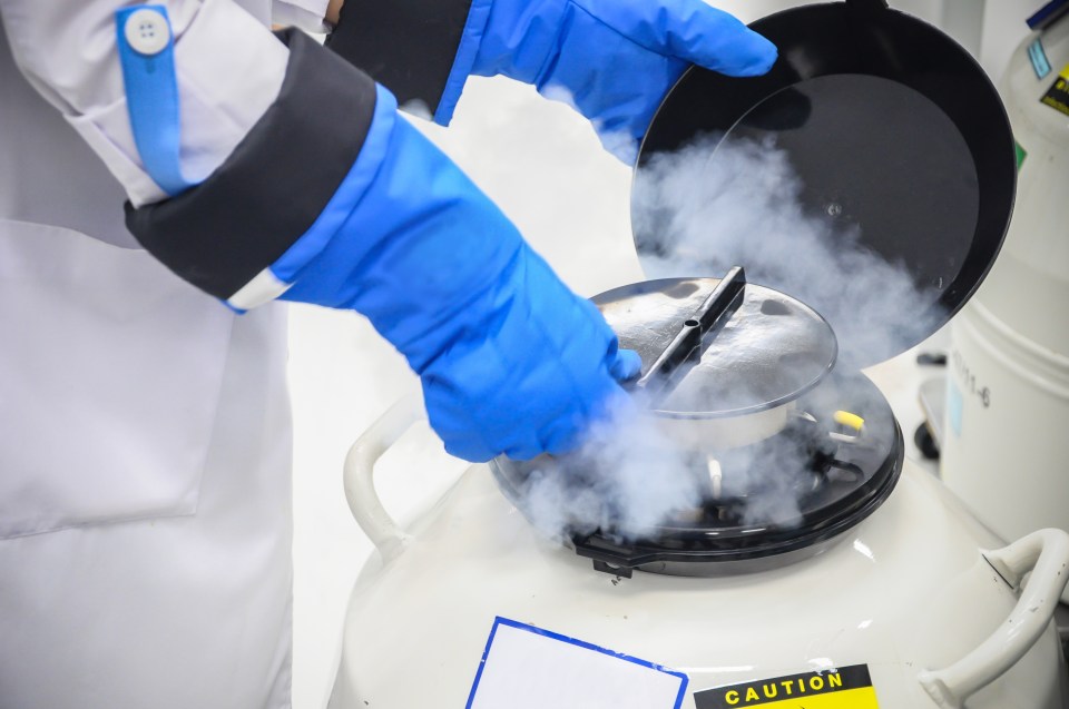  Timing is everything when freezing eggs, as they can only normally be kept for ten years