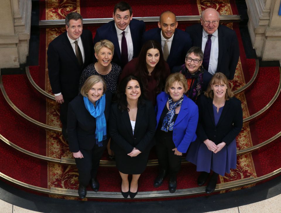  Parliament's fifth largest party, The Independent Group: (back row left to right) Chris Leslie, Gavin Shuker, Chuka Umunna and Mike Gapes, (middle row, left to right) Angela Smith, Luciana Berger and Ann Coffey, (front row, left to right) Sarah Woollaston, Heidi Allen, Anna Soubry and Joan Ryan