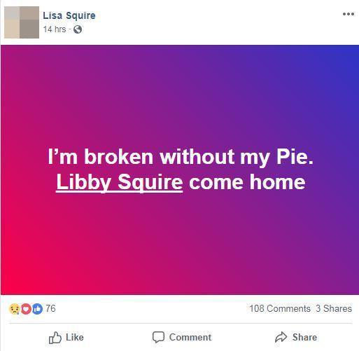  Libby's mum has issued a heartbreaking Facebook plea for her to 'come home'