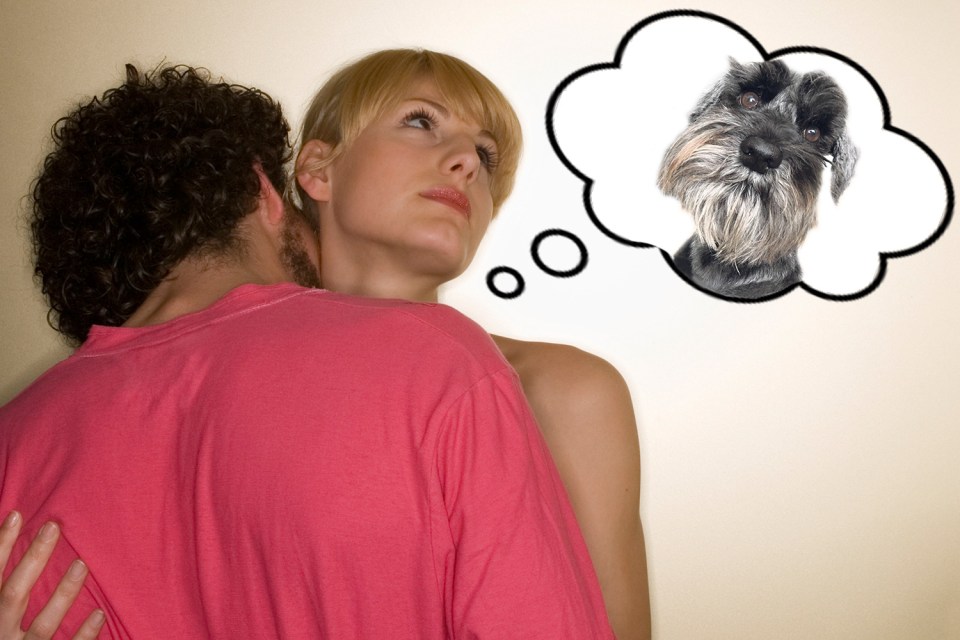  Do you love your pet more than your partner? Take our fun quiz to find out.