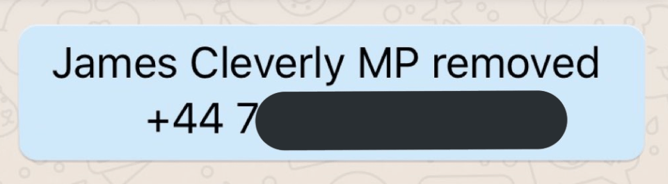  James Cleverly removed MPs from the Tory WhatsApp channel