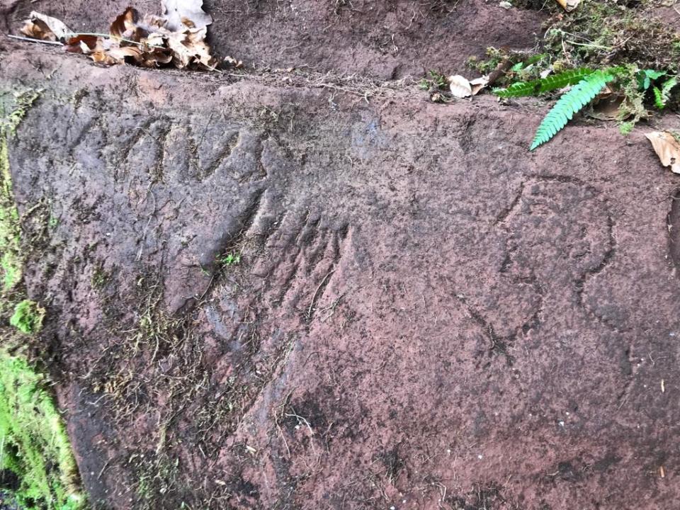  Experts now worry that the rock backdrop for the rare carvings is at risk of eroding – with the inscriptions disappearing for ever