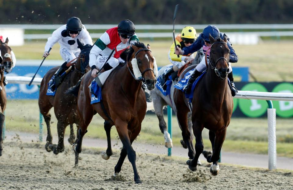  Newbury, Lingfield, Doncaster and Newcastle come under the spotlight as Templegate gives you his best bets for the day