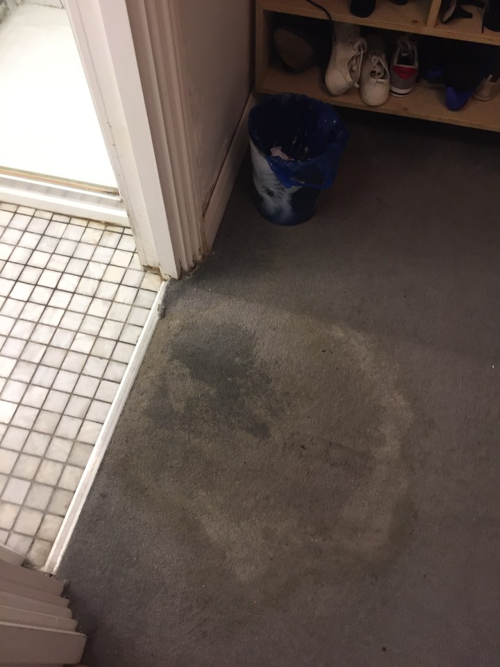  Immy had to pay £220 to get damp on the floor fixed