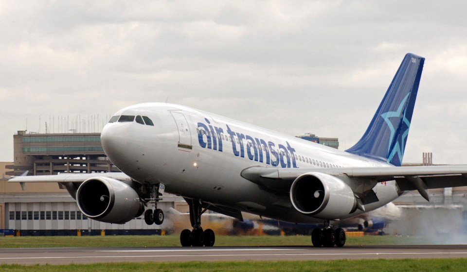  Quin was stung on board an Air Transat jet in Canada