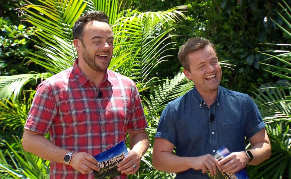  Ant was absent from I'm A Celeb for the first time last year