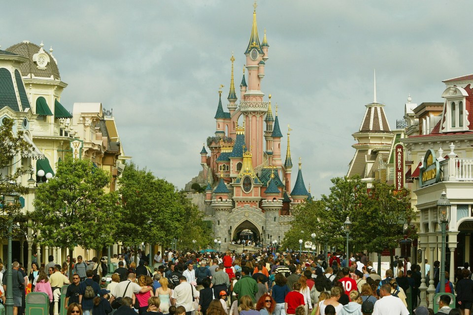  Up to 10million people visit Disneyland Paris every year (file image)