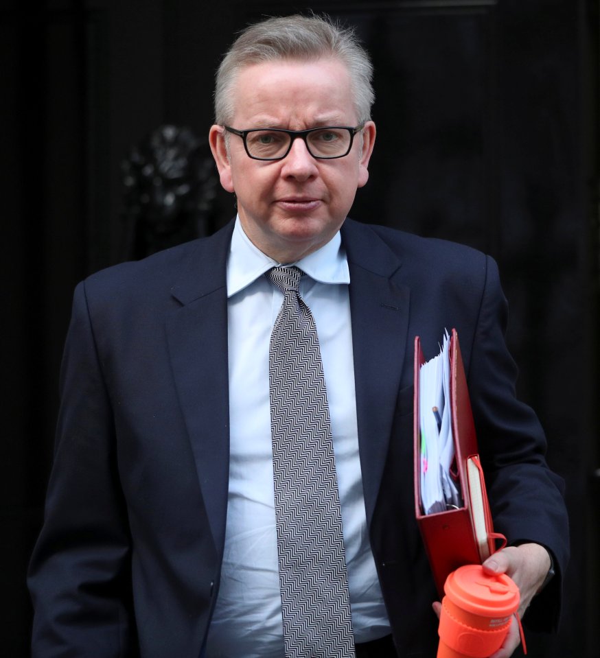  Michael Gove asks Tory rebels to back PM's deal